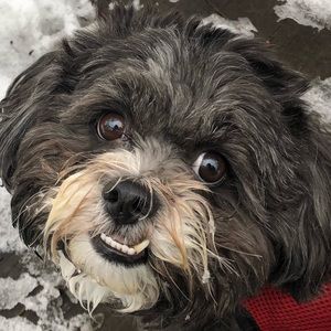 Meet your Posher, Olivia